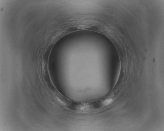 X0000074330219200609152105