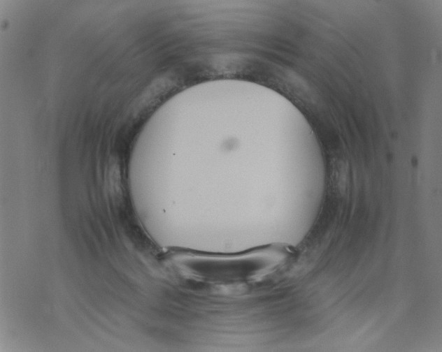 X0000074330220200609152105