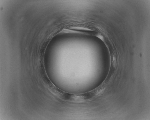 X0000074330221200609152105