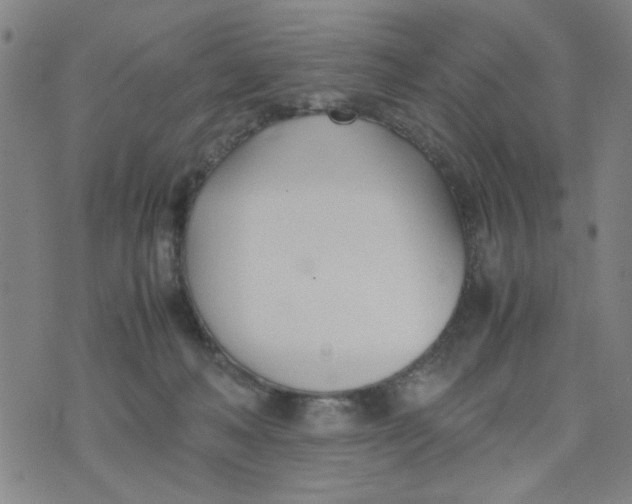 X0000074330222200609152105