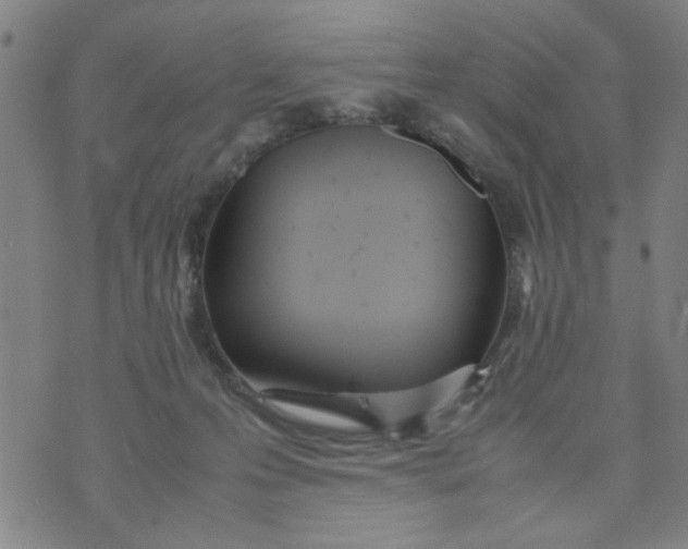 X0000074330223200609152105