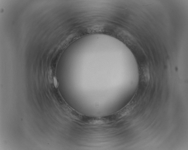 X0000074330224200609152105