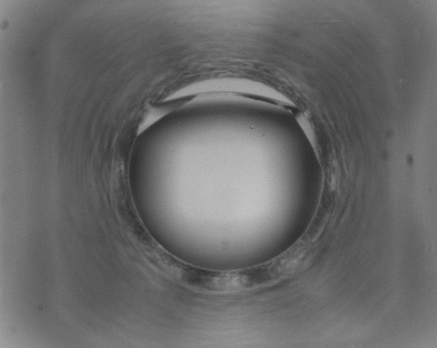 X0000074330225200609152105