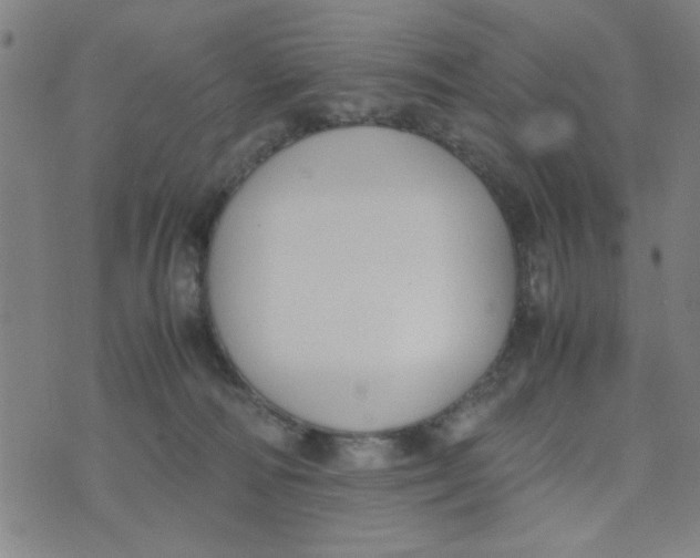 X0000074330226200609152105