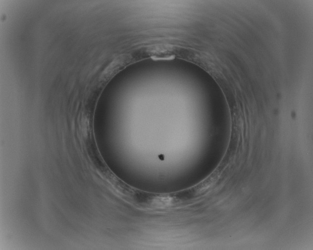 X0000074330227200609152105