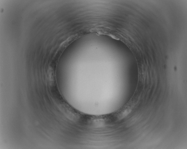 X0000074330228200609152105