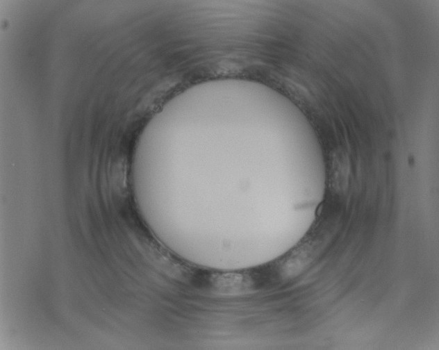 X0000074330230200609152105