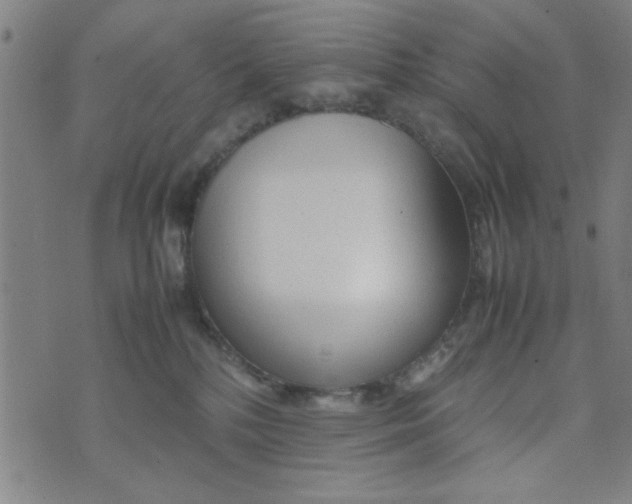 X0000074330232200609152105