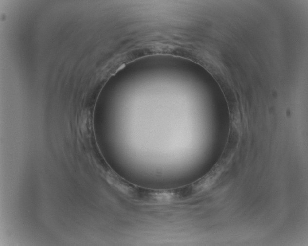 X0000074330233200609152105