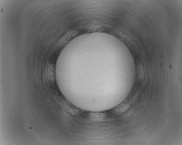 X0000074330234200609152105