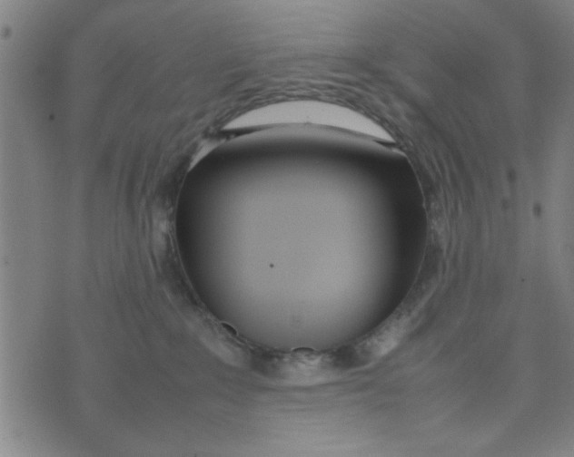 X0000074330235200609152105