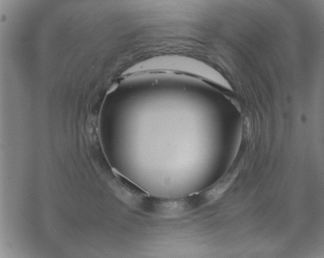 X0000074330237200609152105