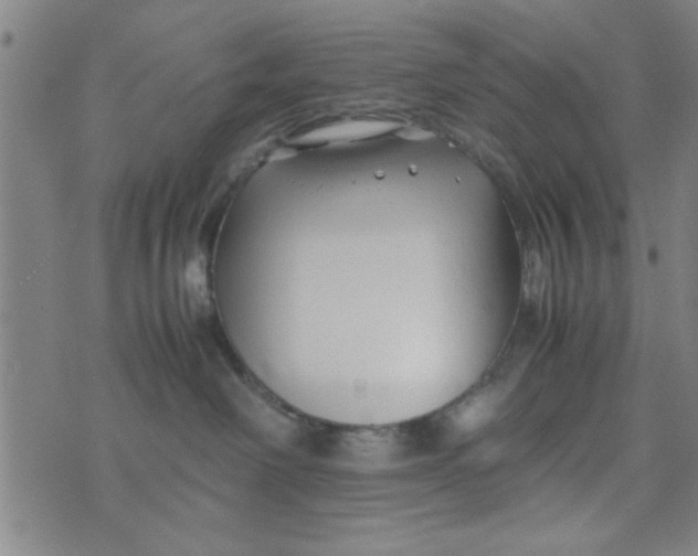 X0000074330238200609152105