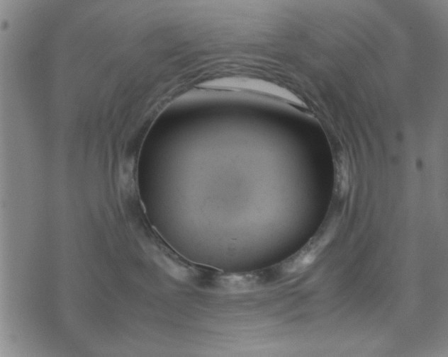 X0000074330239200609152105