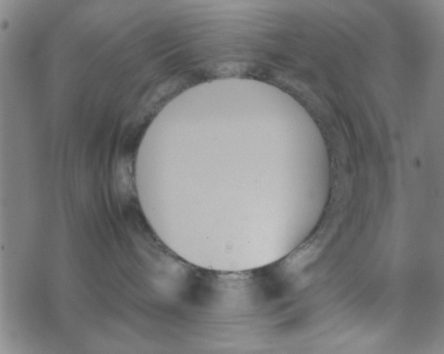 X0000074330240200609152105