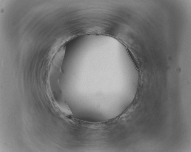 X0000074330241200609152104