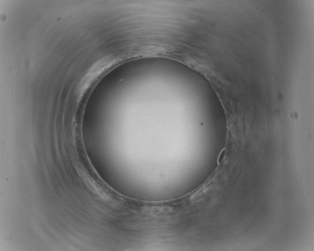 X0000074330242200609152104