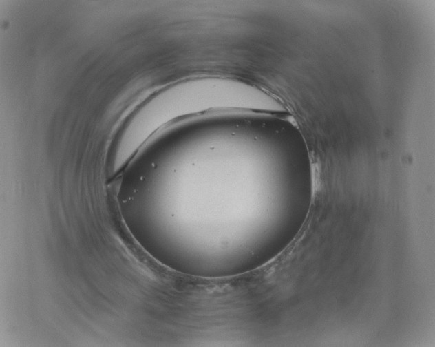 X0000074330243200609152104