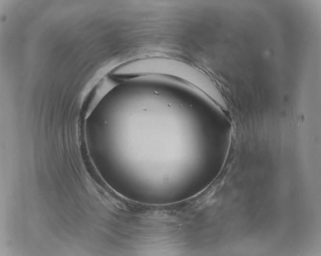 X0000074330244200609152104