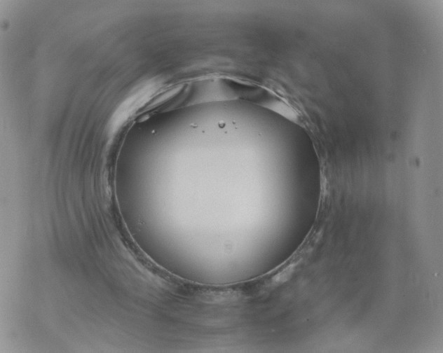 X0000074330245200609152104