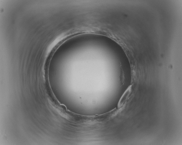 X0000074330246200609152104