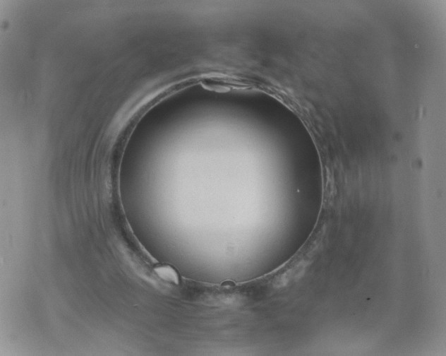 X0000074330247200609152104