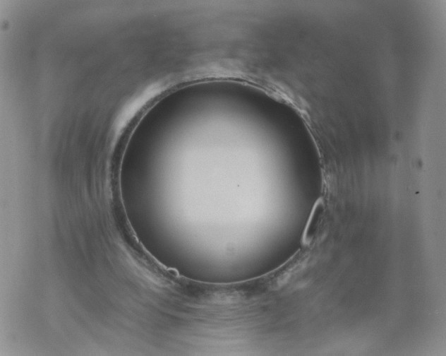 X0000074330248200609152104