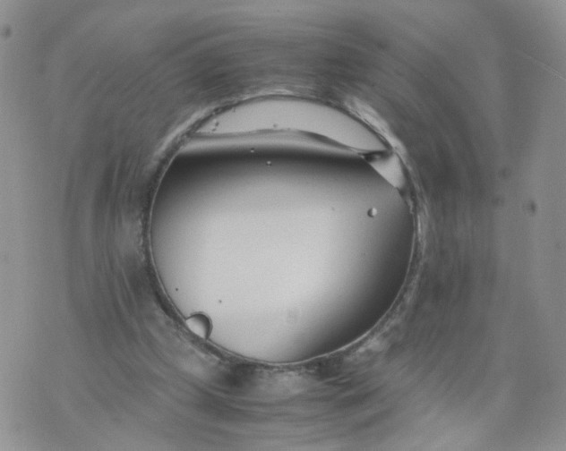 X0000074330249200609152104