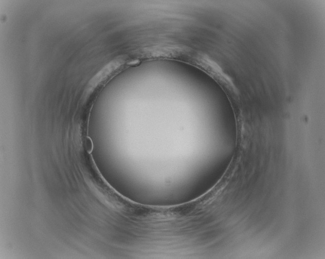 X0000074330250200609152104