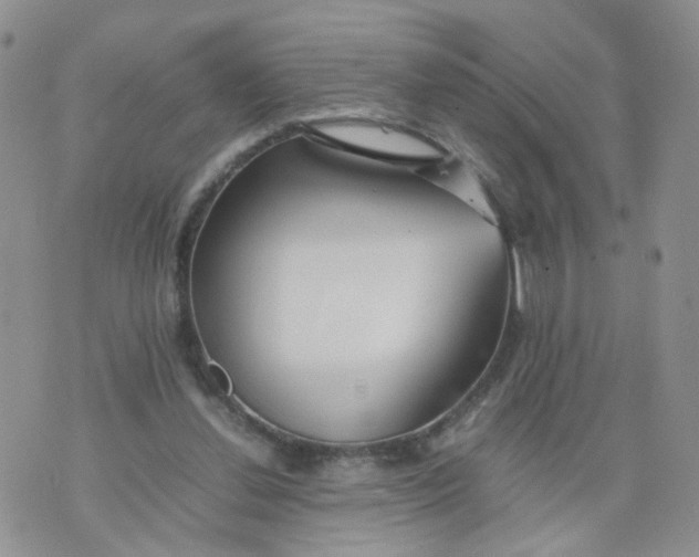 X0000074330252200609152104