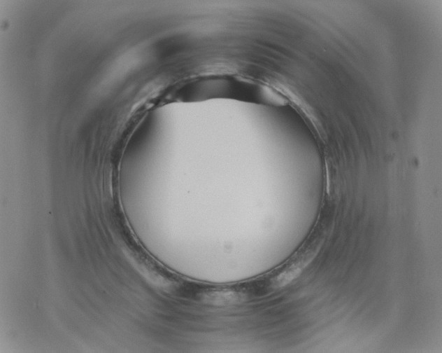 X0000074330253200609152104