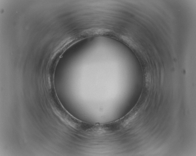 X0000074330254200609152104