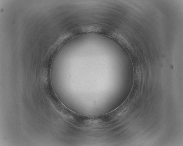 X0000074330255200609152104