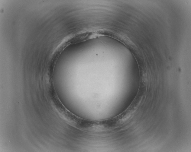 X0000074330256200609152104