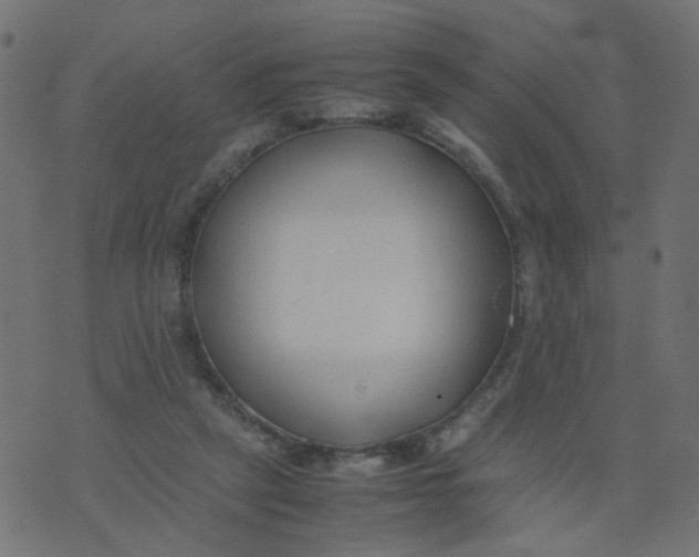 X0000074330257200609152104