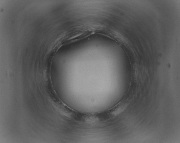 X0000074330258200609152104