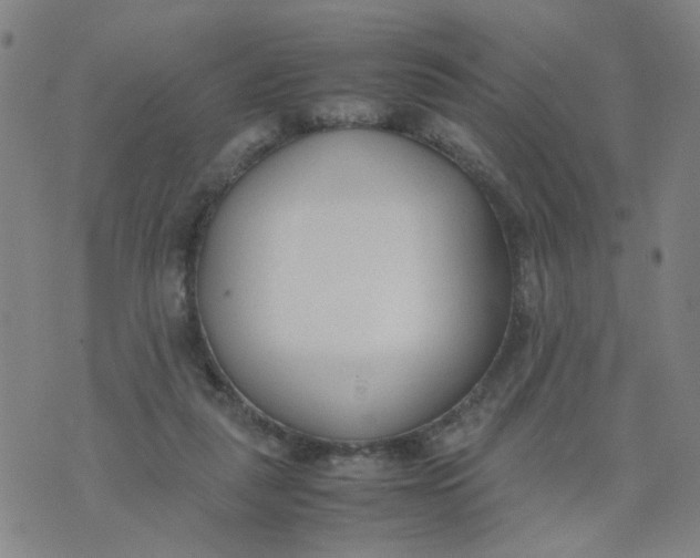 X0000074330259200609152104