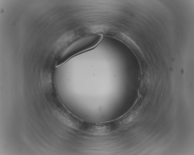 X0000074330260200609152104