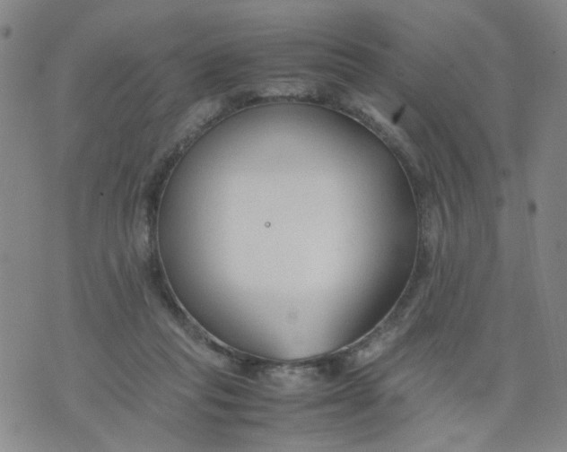 X0000074330261200609152104