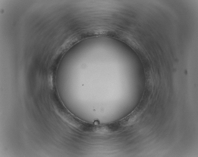 X0000074330262200609152104