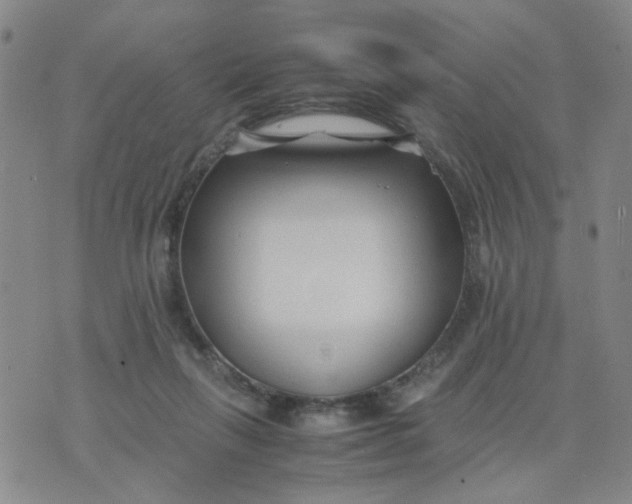 X0000074330263200609152104