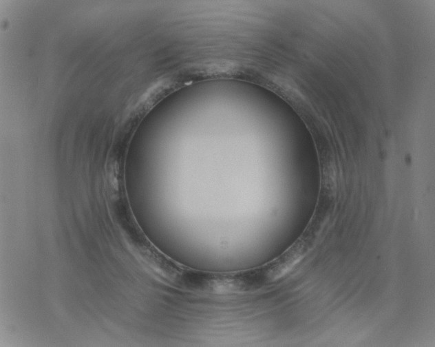 X0000074330264200609152104