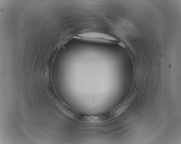 X0000074330265200609152104