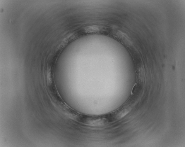 X0000074330267200609152104