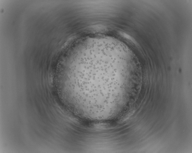 X0000074330268200609152104