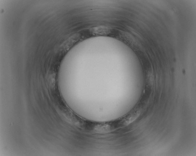 X0000074330271200609152104