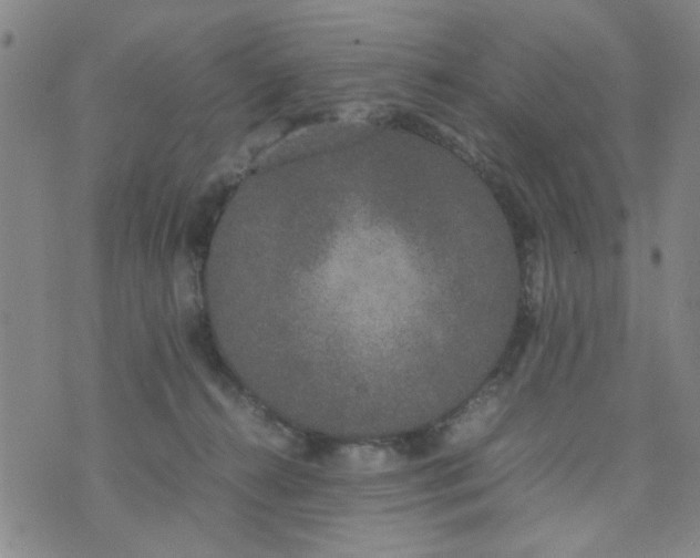 X0000074330272200609152104