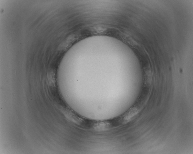 X0000074330274200609152104