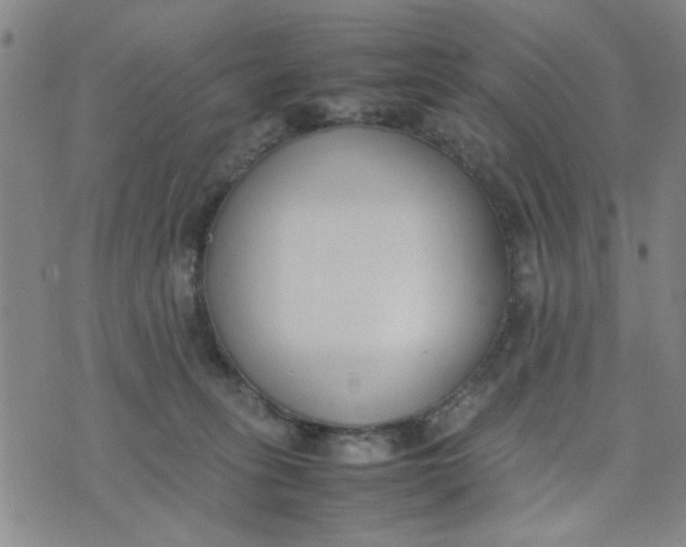 X0000074330275200609152104