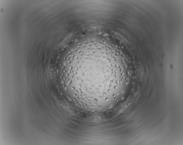 X0000074330276200609152104